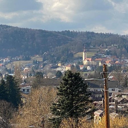Schoenes Apartment Mit Aussicht Ueber Graz Ngoại thất bức ảnh